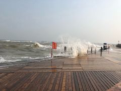 -日照灯塔风景区