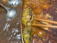 -铭记蛙小仙·活蛙畅享(CBD万达广场店)