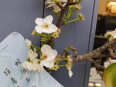 -麻雀咖啡SPARROW COFFEE(十全街店)