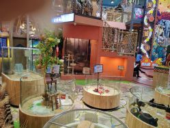 -卡通尼·Safari非洲探索乐园·生日会(金桥国际商业广场店)