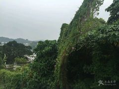 景点-南丫岛