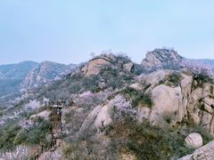 -大岭沟猕猴桃谷风景区