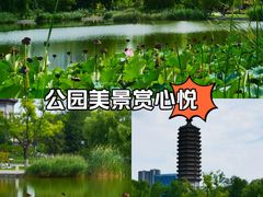-西海子公园