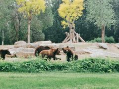 -北京野生动物园