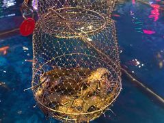 -钳真多钓虾馆·小龙虾海鲜烧烤(九六广场店)