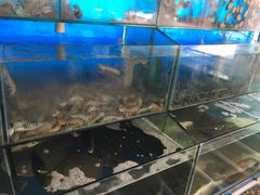 -日照大牌檔•小船海鲜(万平口店)