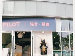 -飞行喵MR PILOT|猫舍·猫咖(静安大融城店)