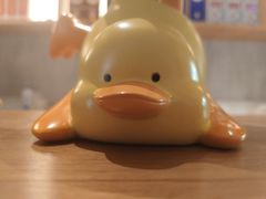 -草窝烤鸭·新京菜(鼓楼店)