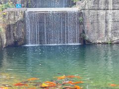 -千岛湖东南湖区