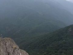 -银瓶嘴森林公园