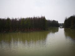 -上海海湾国家森林公园
