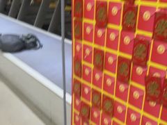 -超鹿运动(大唐世家店)