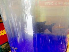 -解家河南菜(商鼎路店)