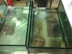 -渔家火锅·海鲜自助餐·演艺(亚龙湾天域酒店)