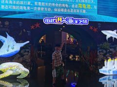 -成都浩海立方海洋公园