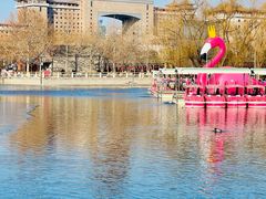 -莲花池公园
