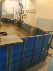 -巡鱼道·室内垂钓·渔具店