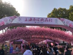 -南汇桃花村