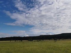 -塞罕坝国家级自然保护区