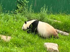 -沈阳森林动物园