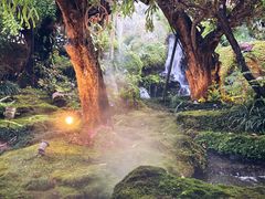 -Chom Cafe and Restaurant