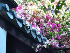 -深圳国际园林花卉博览园