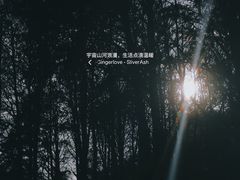 -金砂公园