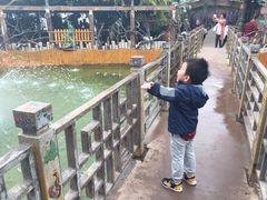 -呀路古热带植物园