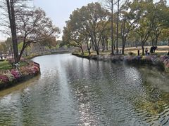 -苏州上方山国家森林公园
