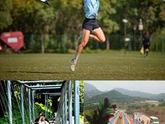 -上海长兴岛郊野公园