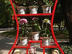 -上海市龙华烈士陵园