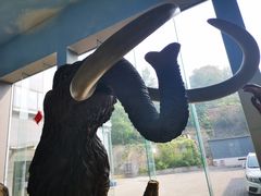 -中国第四纪冰川遗迹陈列馆