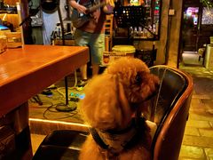 -城墙外BAR