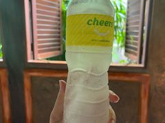 -新加坡雅庭假日酒店
