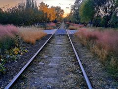 -永定河休闲森林公园