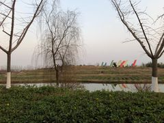 -乌村