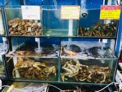 -蚝专家(北滘店)