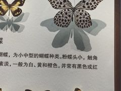 -天津自然博物馆