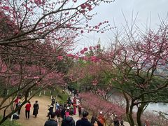 -重庆彩云湖湿地公园