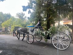 -J Create城市露营咖啡·简餐·宠物(上海动物园店)