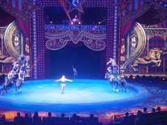 -珠海横琴长隆《卡卡虎奇遇记》