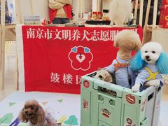 -金茂览秀城