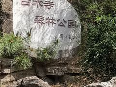 -白水寺森林公园