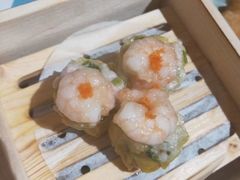 -月光岛