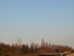 -昆山城市生态森林公园