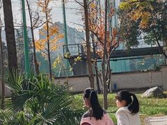 -怡咖啡·自助餐·西安香格里拉