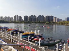 -南翔镇银翔湖公园
