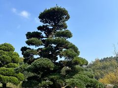 -贵州省植物园