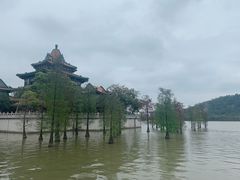-顺峰山公园