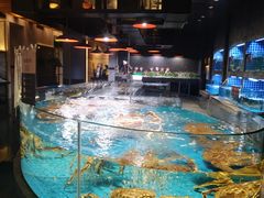 -徐记海鲜(梅溪新天地店)
